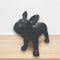 Product image for SKU 88846-04
