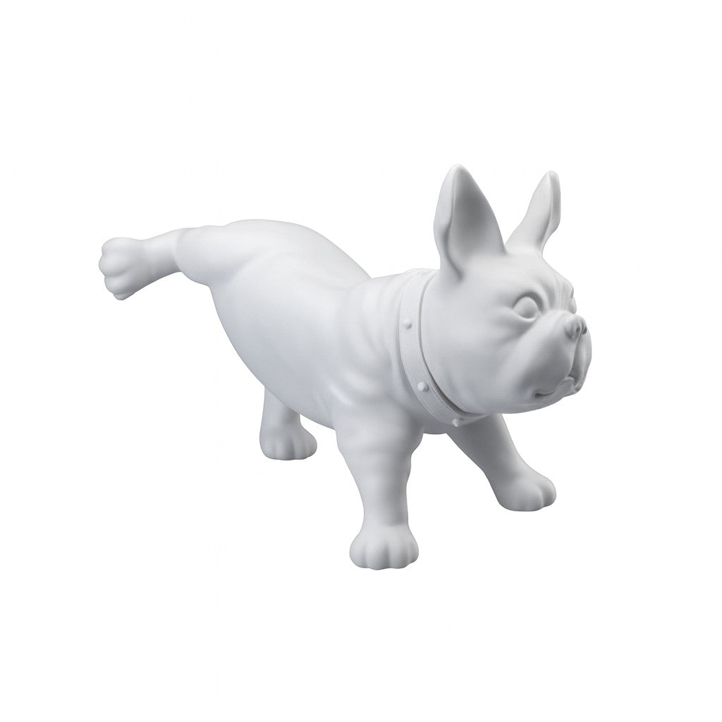 Fransk bulldog, Luis - Hvit. Hundemannekeng