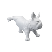 Fransk bulldog, Luis - Hvit. Hundemannekeng