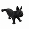 Fransk bulldog, Luis. Hundemannekeng i svart