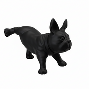 Fransk bulldog, Luis. Hundemannekeng i svart