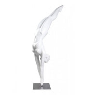 Product image for B001-25023-W