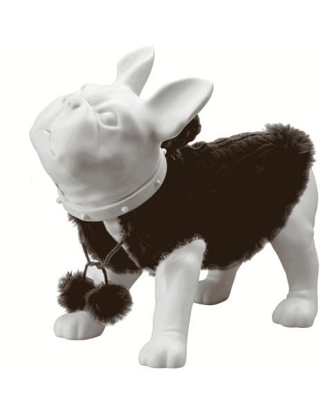 Fransk bulldog, Liva - hvit