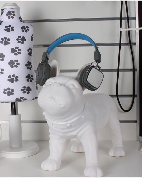 Fransk bulldog, Liva - hvit