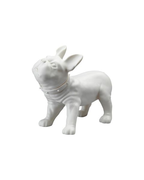 Fransk bulldog, Liva - hvit