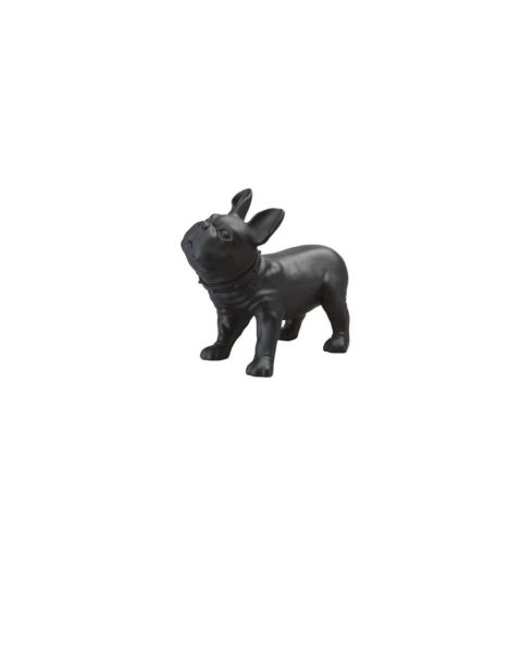 Fransk bulldog, Liva