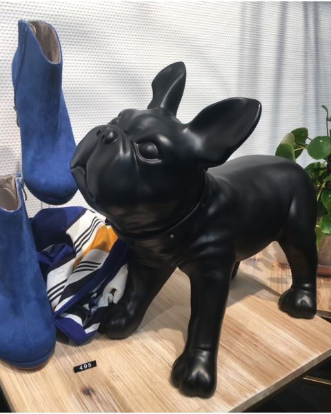 Fransk bulldog, Liva