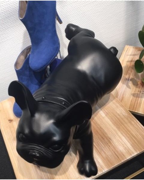 Fransk bulldog, Luis