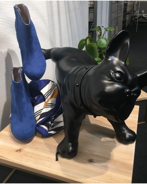 Fransk bulldog, Luis
